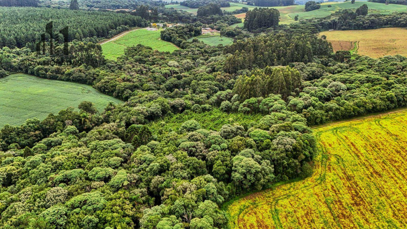 Terreno à venda, 88M2 - Foto 9