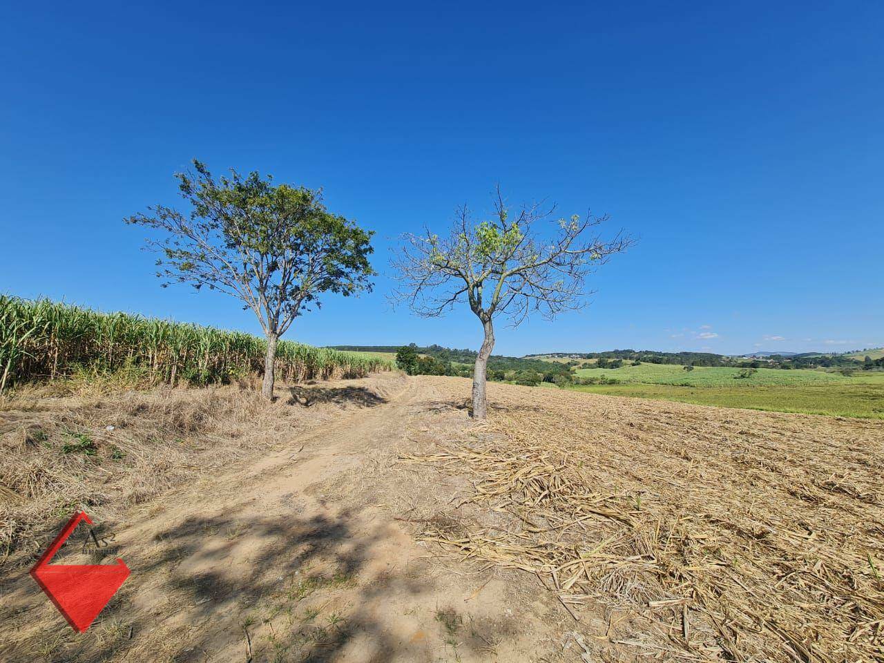 Fazenda à venda, 1040600M2 - Foto 4