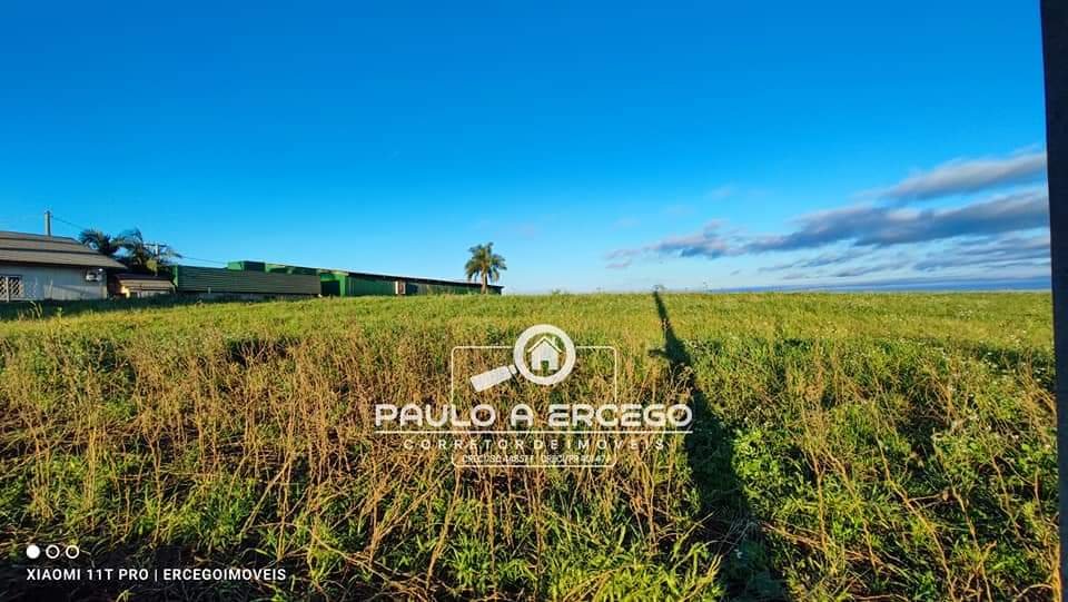 Chácara à venda com 1 quarto, 4125m² - Foto 5