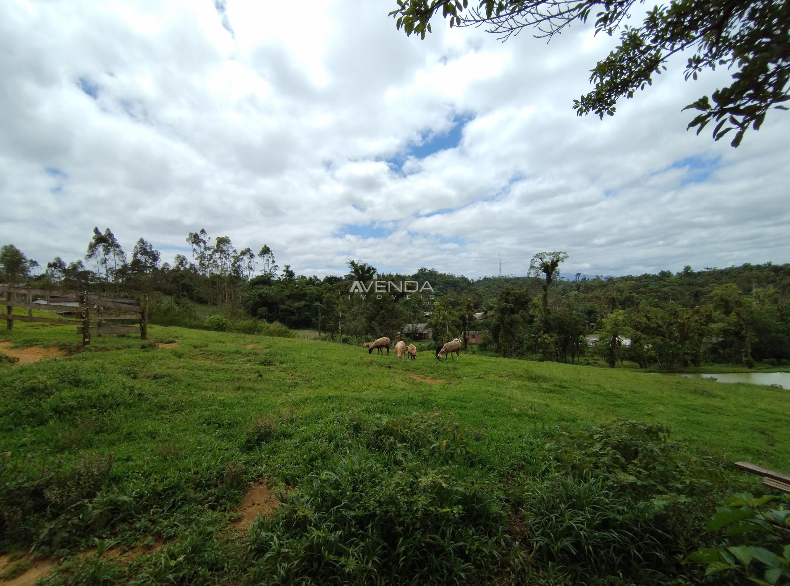 Fazenda à venda com 6 quartos, 208036m² - Foto 26