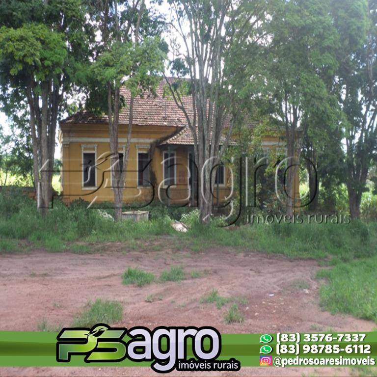 Fazenda-Sítio-Chácara, 3335 hectares - Foto 2