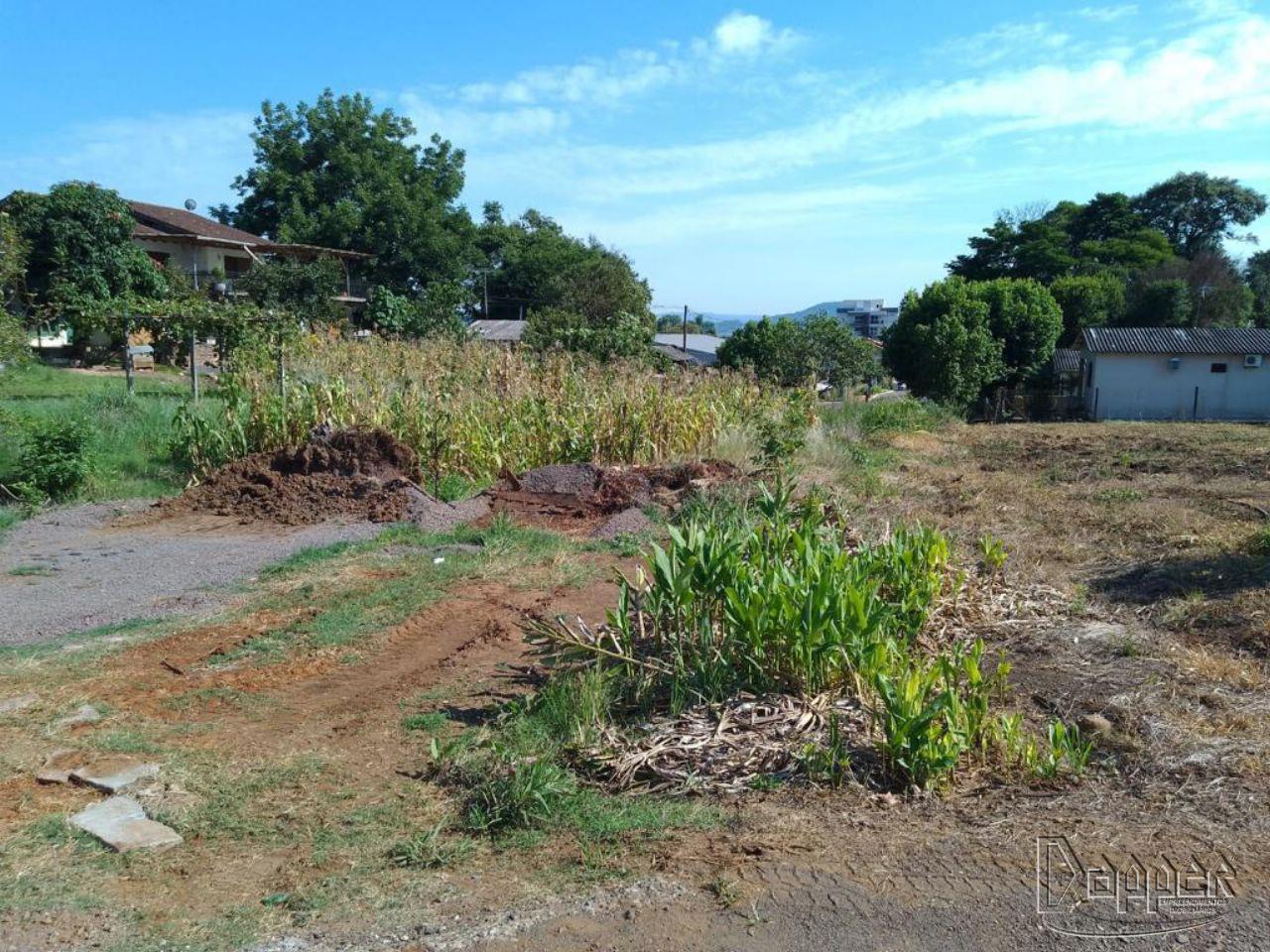 Terreno à venda - Foto 4