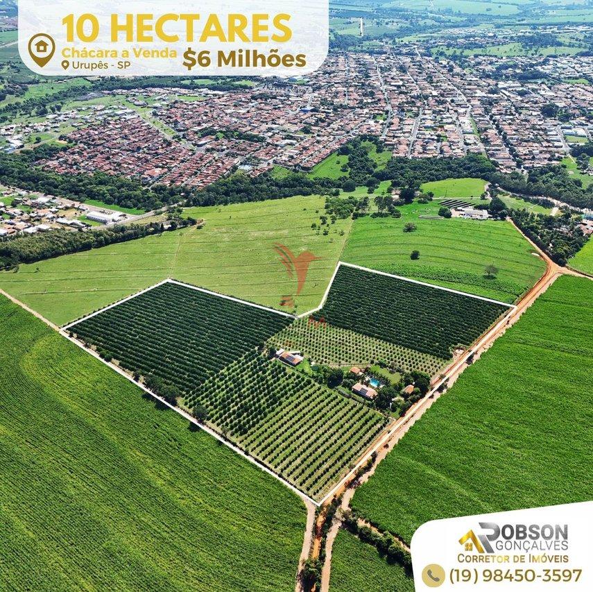 Fazenda à venda com 8 quartos, 100000m² - Foto 7