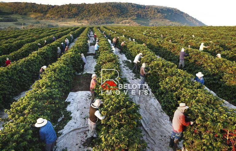 Terreno à venda, 100000M2 - Foto 1