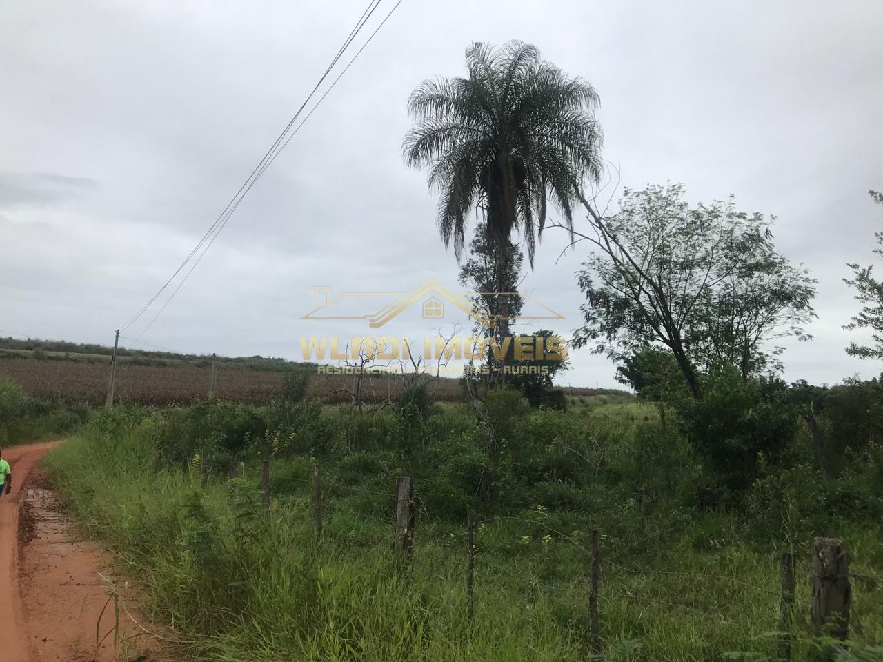 Fazenda à venda, 117m² - Foto 23