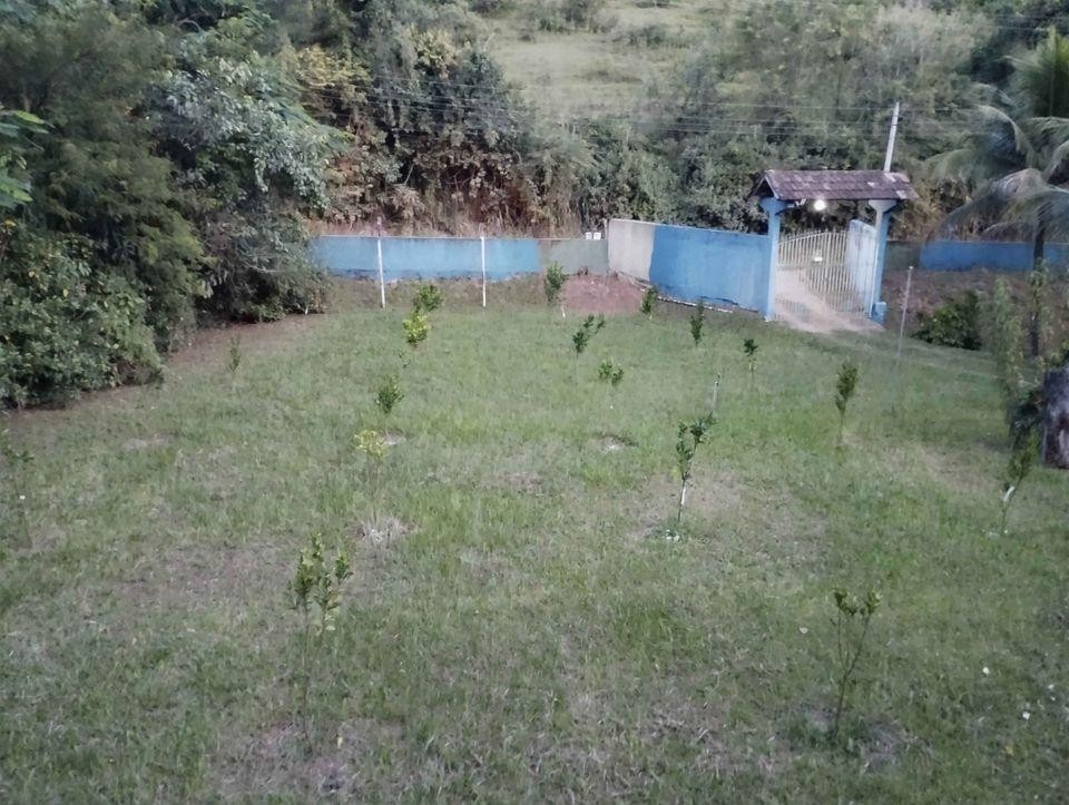Sítio à venda com 2 quartos, 10000m² - Foto 6