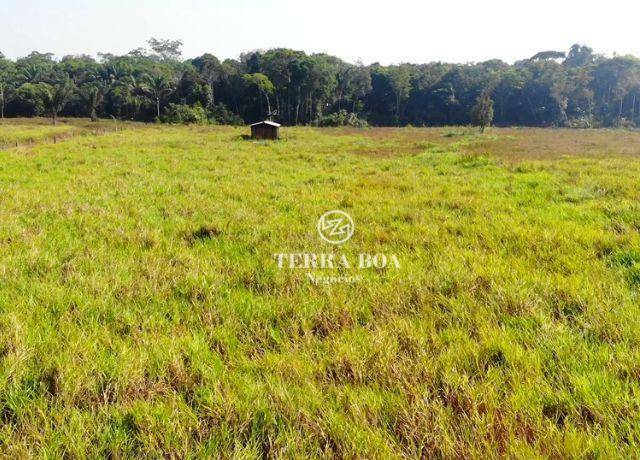 Fazenda à venda, 4000000M2 - Foto 7