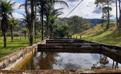 Fazenda à venda com 5 quartos, 150000m² - Foto 20