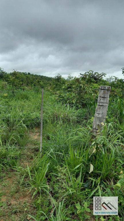 Fazenda à venda, 200m² - Foto 6