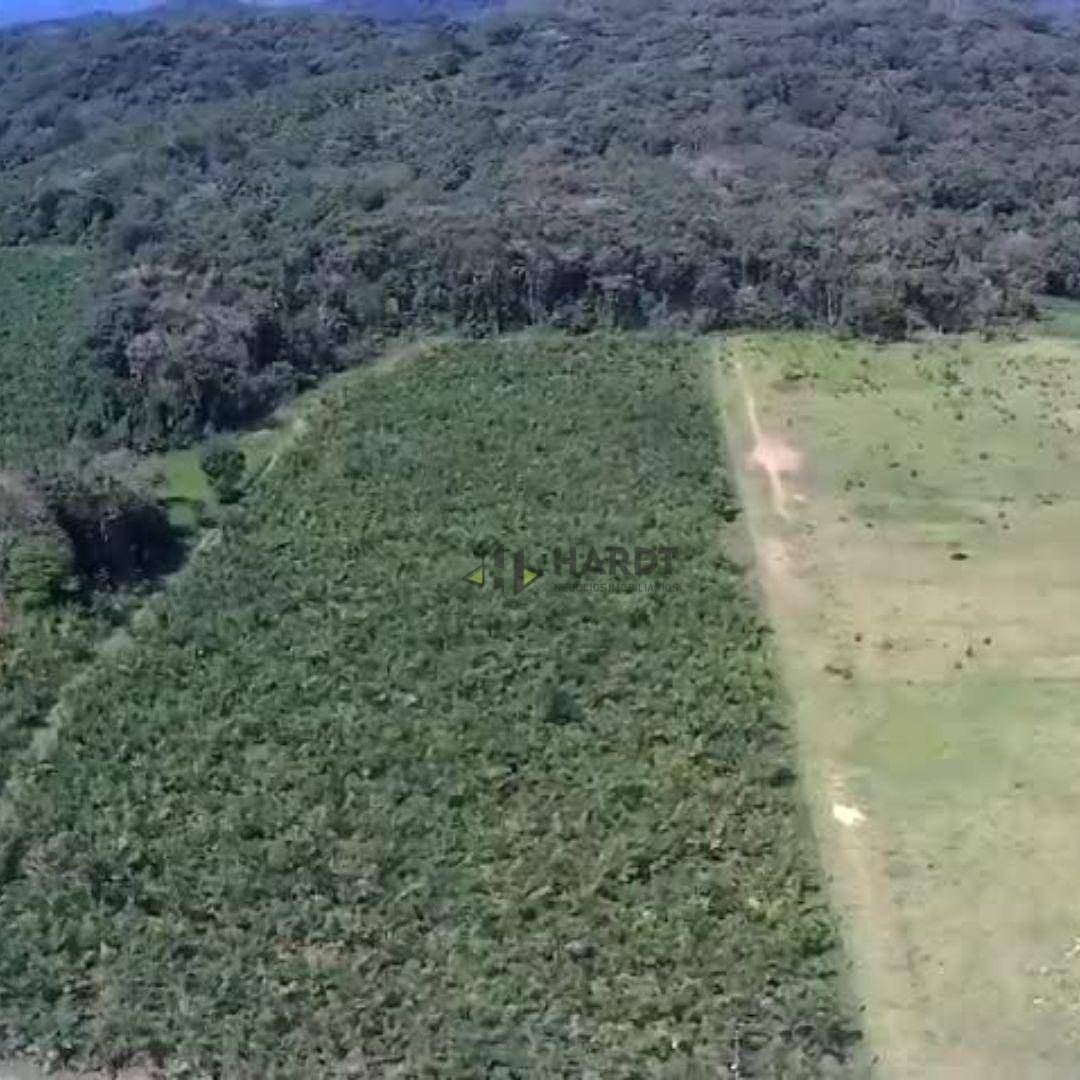 Terreno, 4 hectares - Foto 4