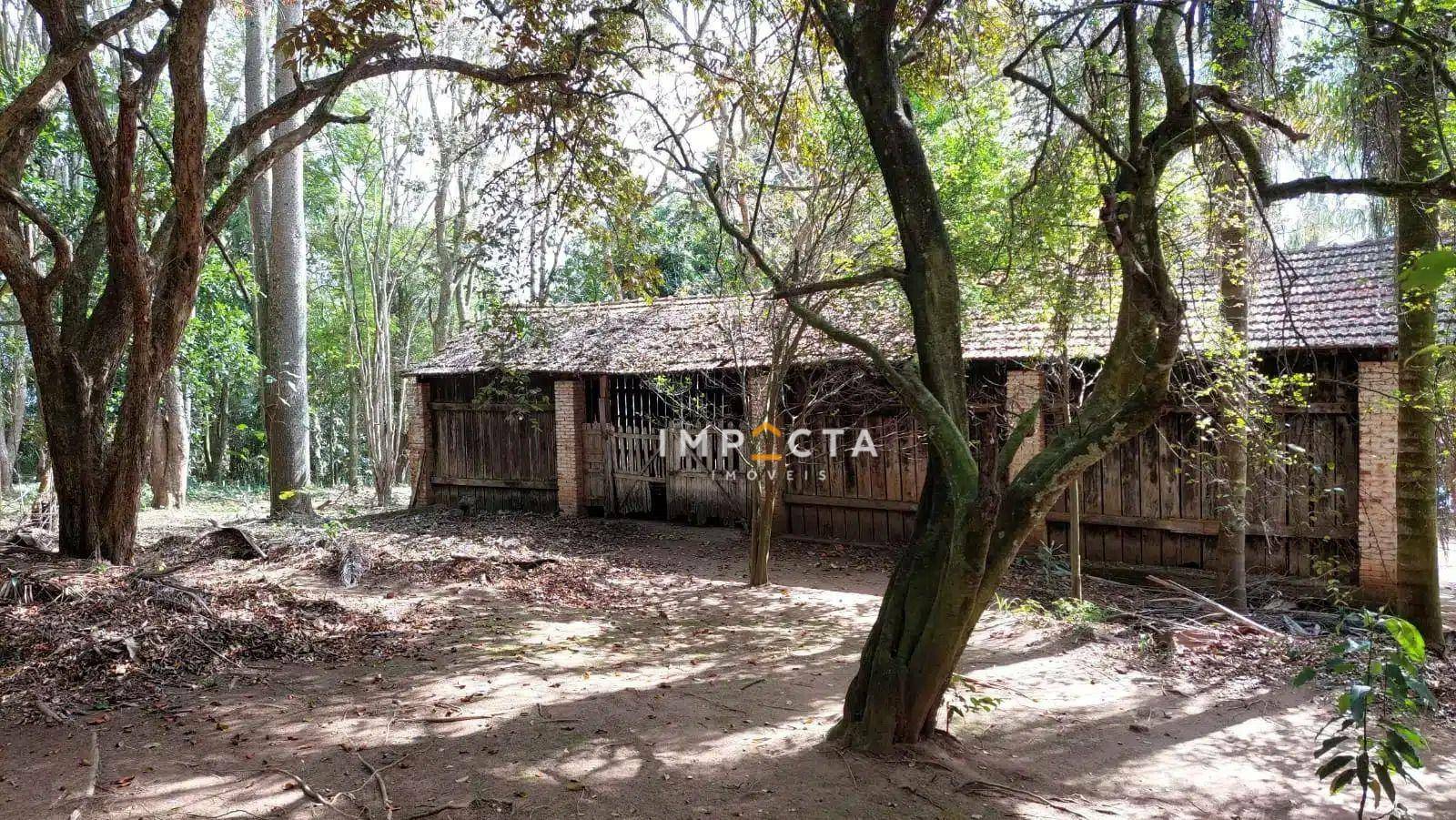 Fazenda à venda com 3 quartos, 200m² - Foto 11