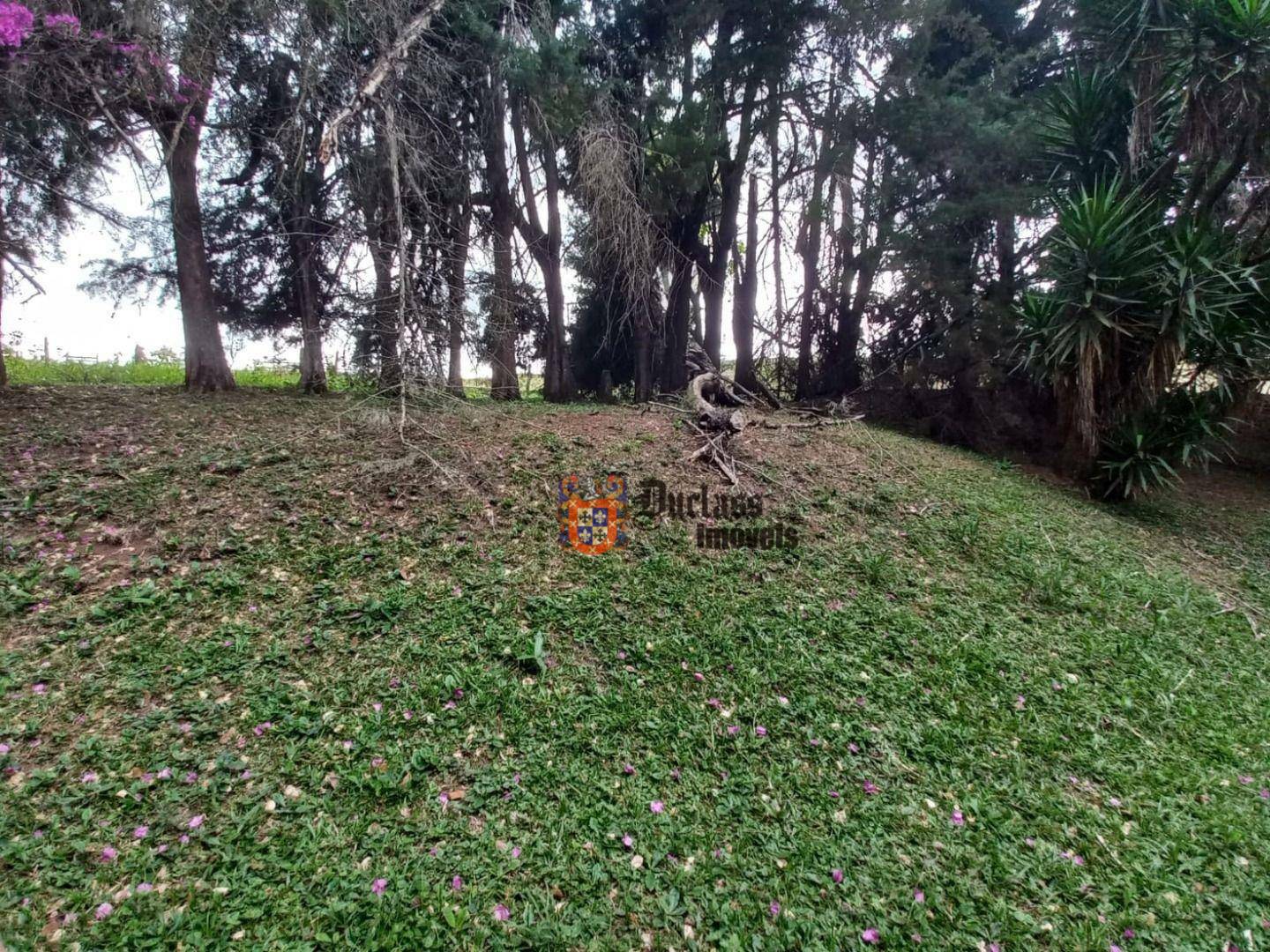 Terreno à venda, 21000M2 - Foto 3