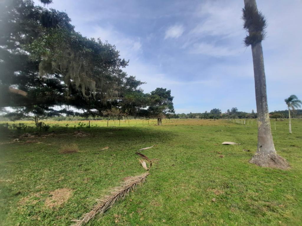 Fazenda à venda com 1 quarto, 25000m² - Foto 1