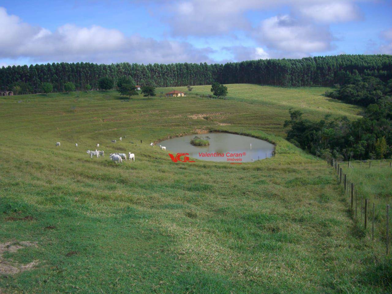 Fazenda à venda com 3 quartos, 6250m² - Foto 52