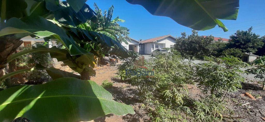 Casa, 4 quartos, 81 m² - Foto 6