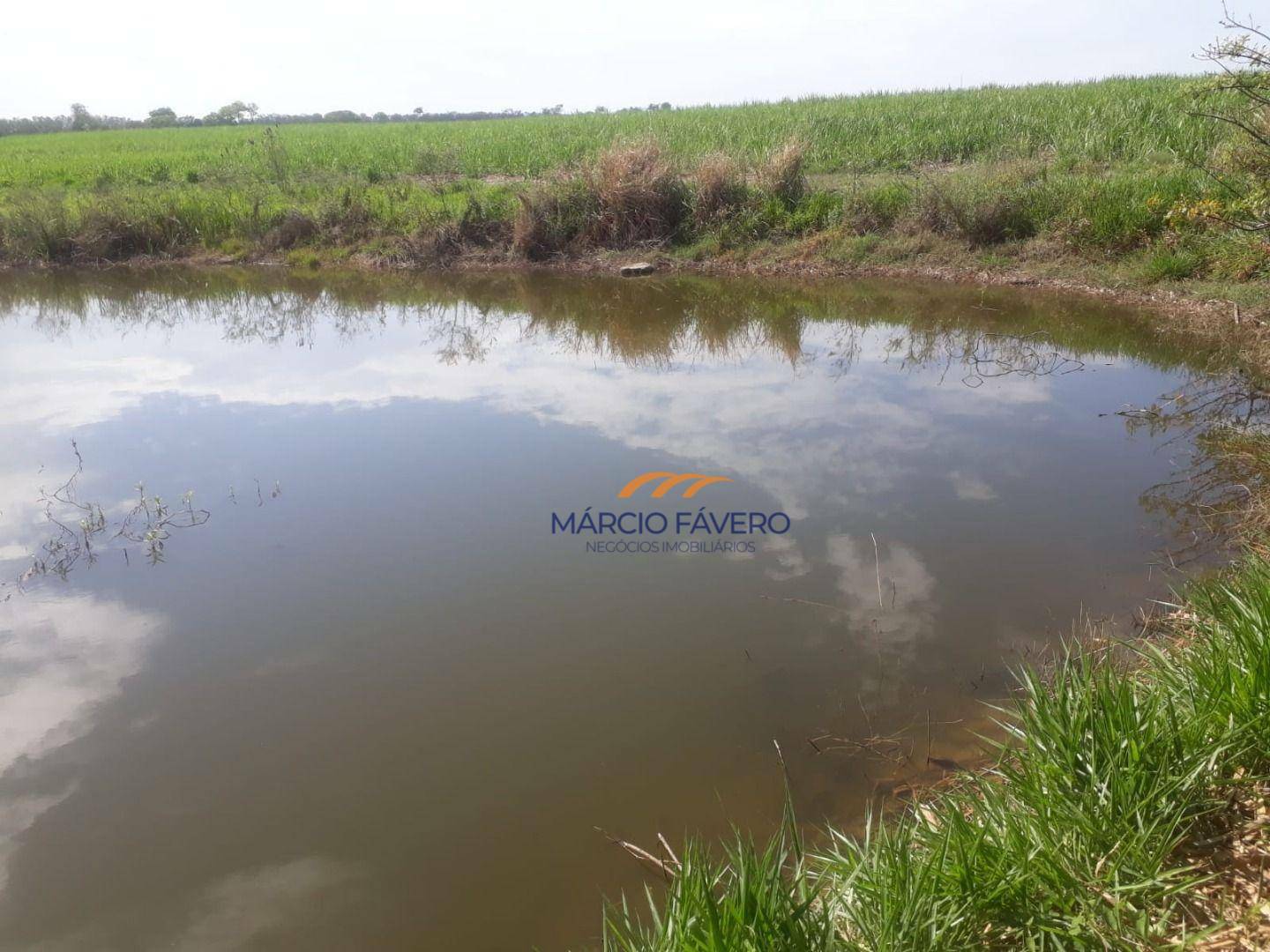 Fazenda à venda, 2918520M2 - Foto 5