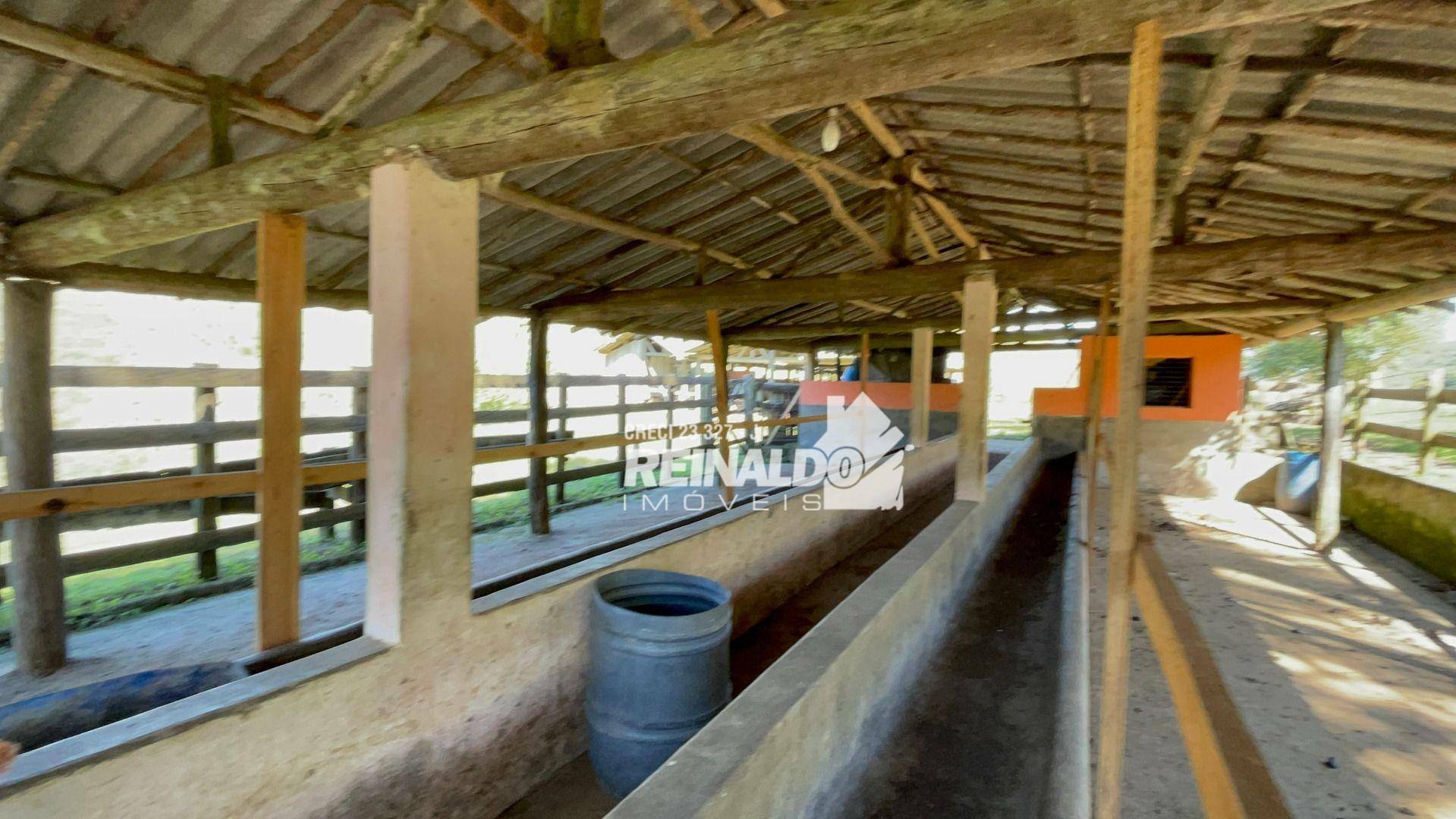 Fazenda à venda com 8 quartos, 900m² - Foto 23