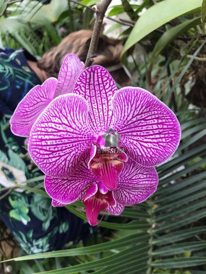 Chácara, 3 quartos, 1200 m² - Foto 21