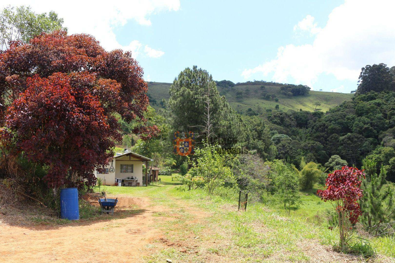 Sítio à venda com 19 quartos, 1859m² - Foto 145