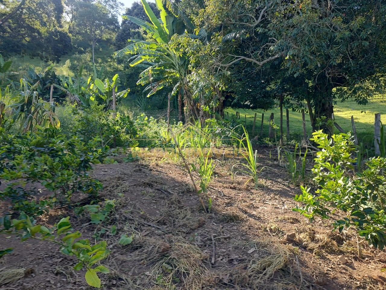 Chácara à venda, 5000m² - Foto 10