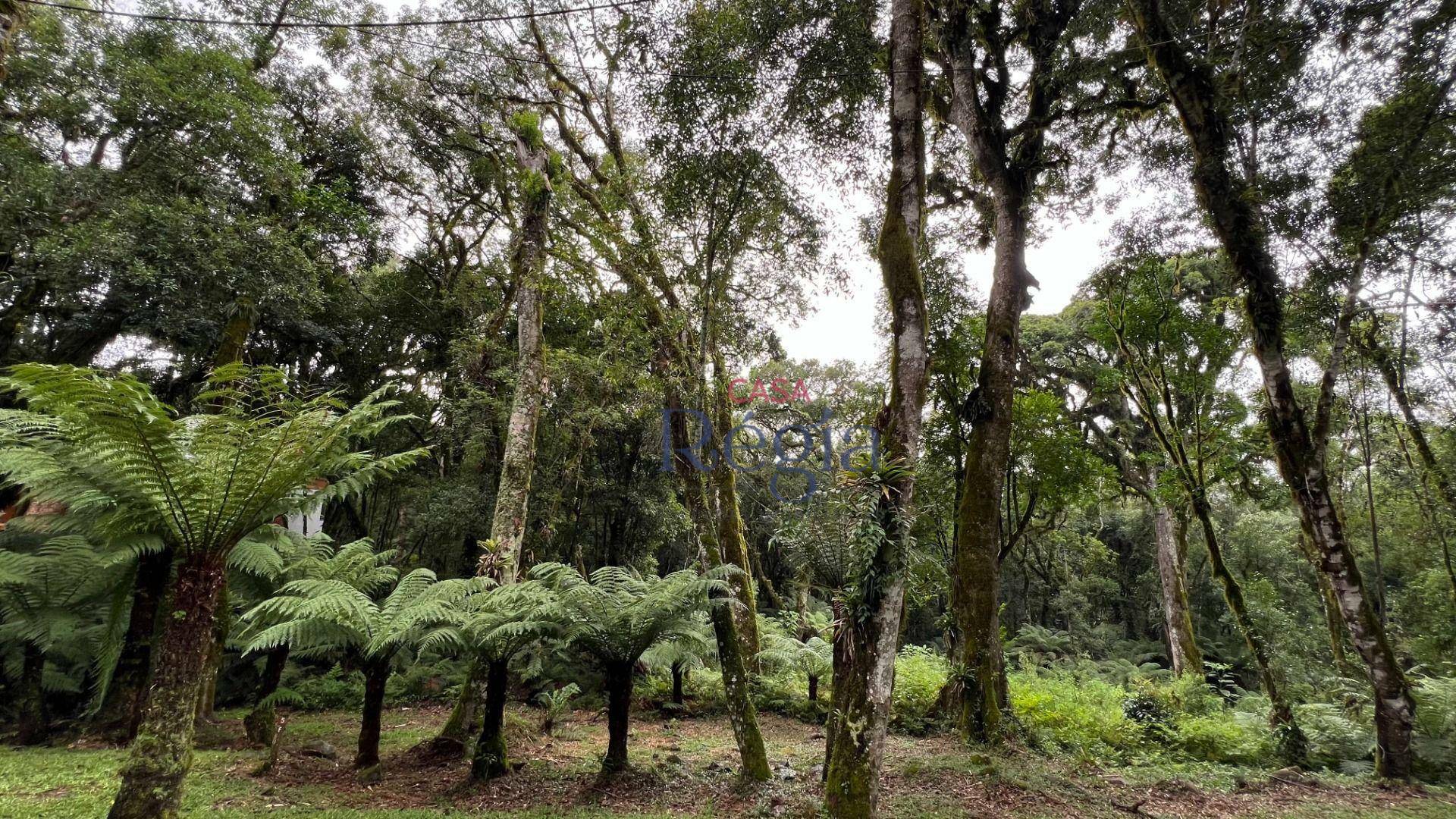 Loteamento e Condomínio à venda, 1024M2 - Foto 8