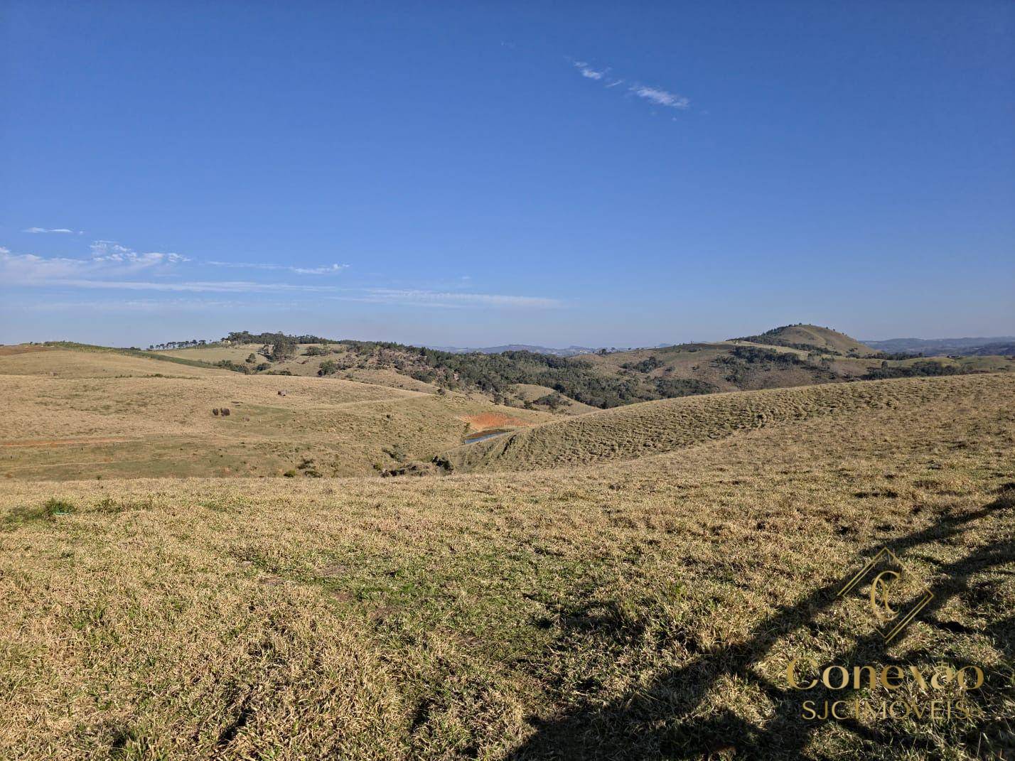 Fazenda, 171 hectares - Foto 4