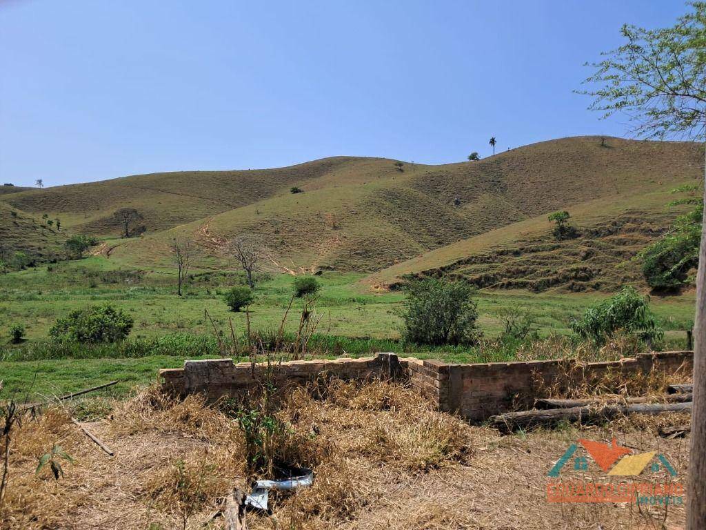 Fazenda à venda, 100m² - Foto 10