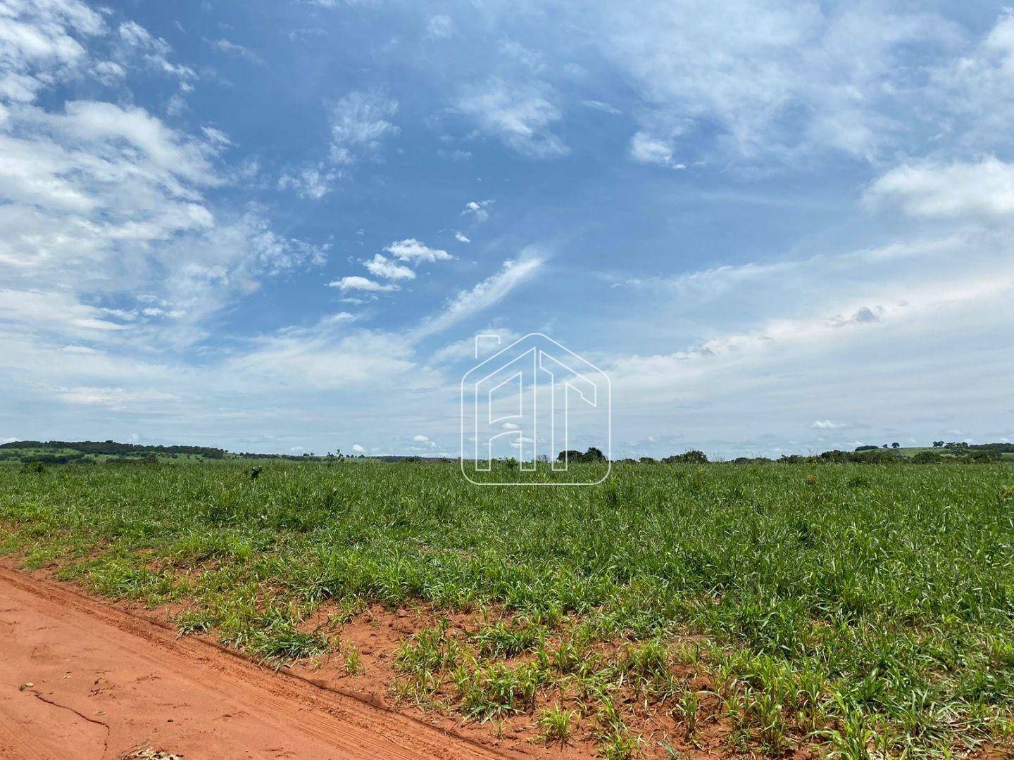 Fazenda à venda com 4 quartos, 40m² - Foto 8