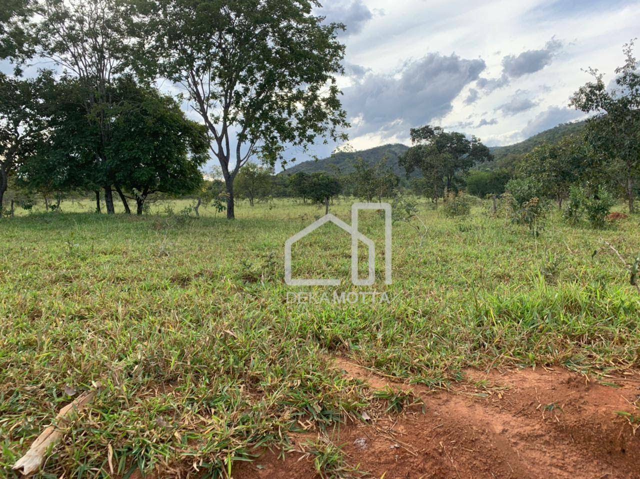 Fazenda à venda com 3 quartos, 21217700000M2 - Foto 12