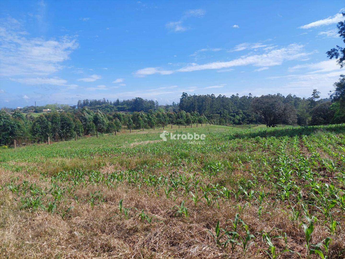 Terreno à venda, 8410M2 - Foto 3