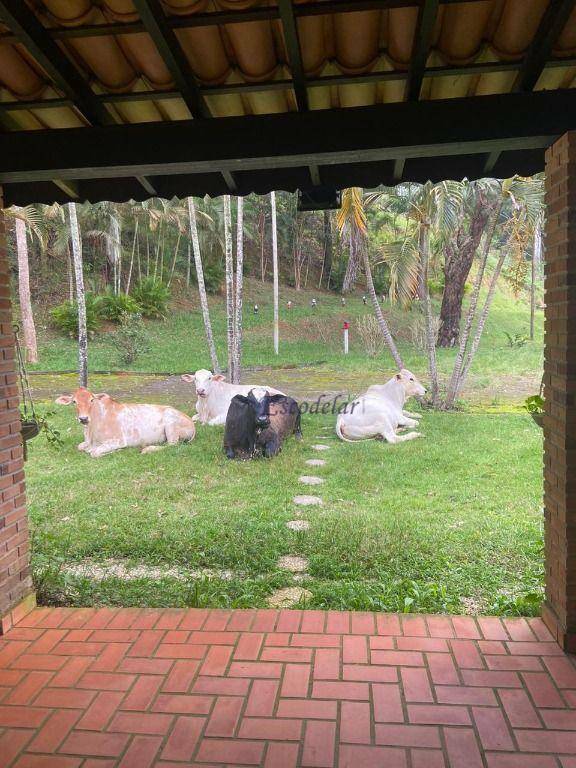 Fazenda à venda com 5 quartos, 290400M2 - Foto 5