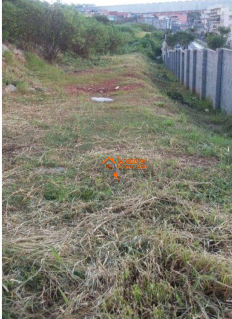 Terreno, 5 hectares - Foto 4