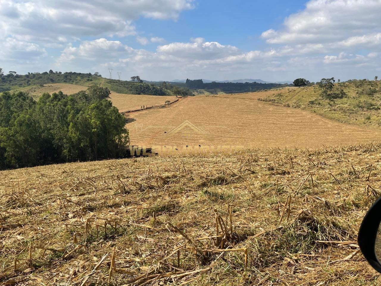 Fazenda à venda, 220m² - Foto 35