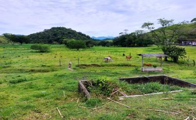 Fazenda à venda com 3 quartos, 17000m² - Foto 17