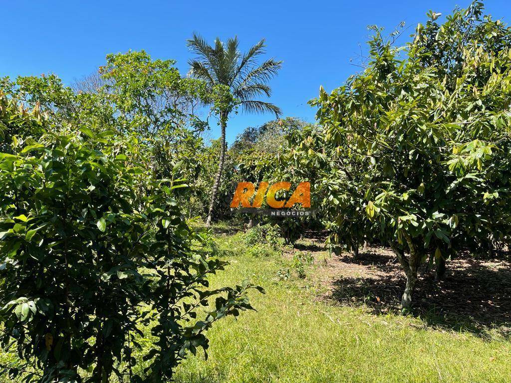 Chácara à venda com 3 quartos, 18225M2 - Foto 3