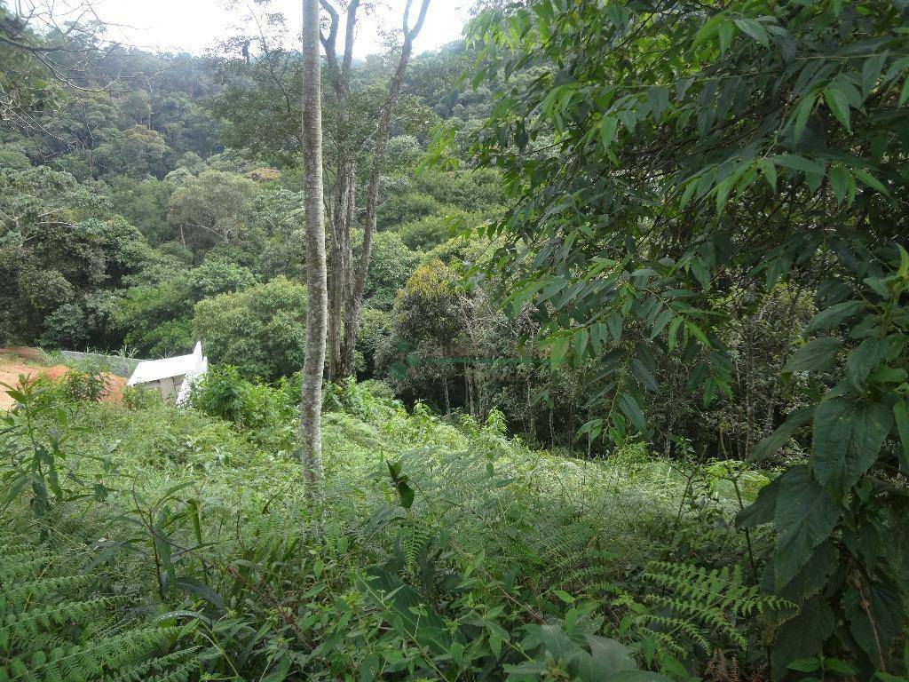 Loteamento e Condomínio à venda, 361M2 - Foto 2