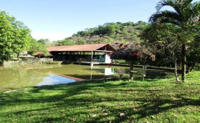 Fazenda à venda com 3 quartos, 33200m² - Foto 10