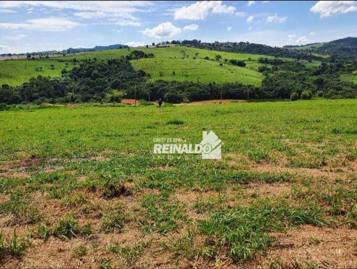 Loteamento e Condomínio à venda, 1000M2 - Foto 2