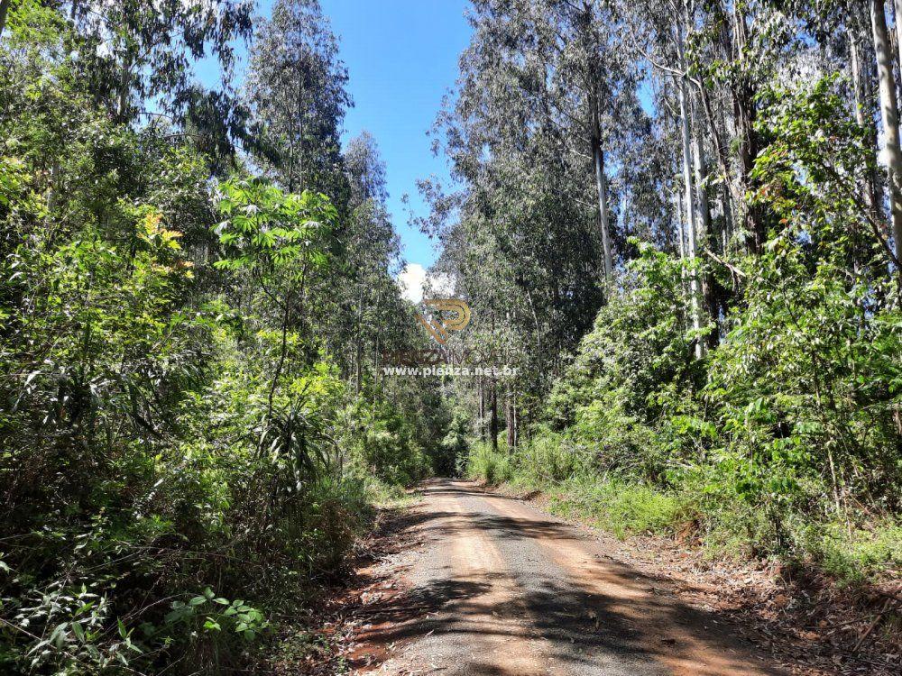 Loteamento e Condomínio à venda, 350000m² - Foto 3