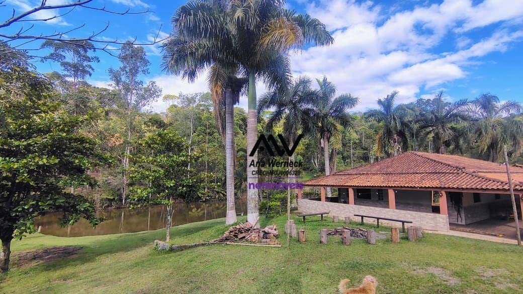 Sítio, 9 quartos, 6 hectares - Foto 1