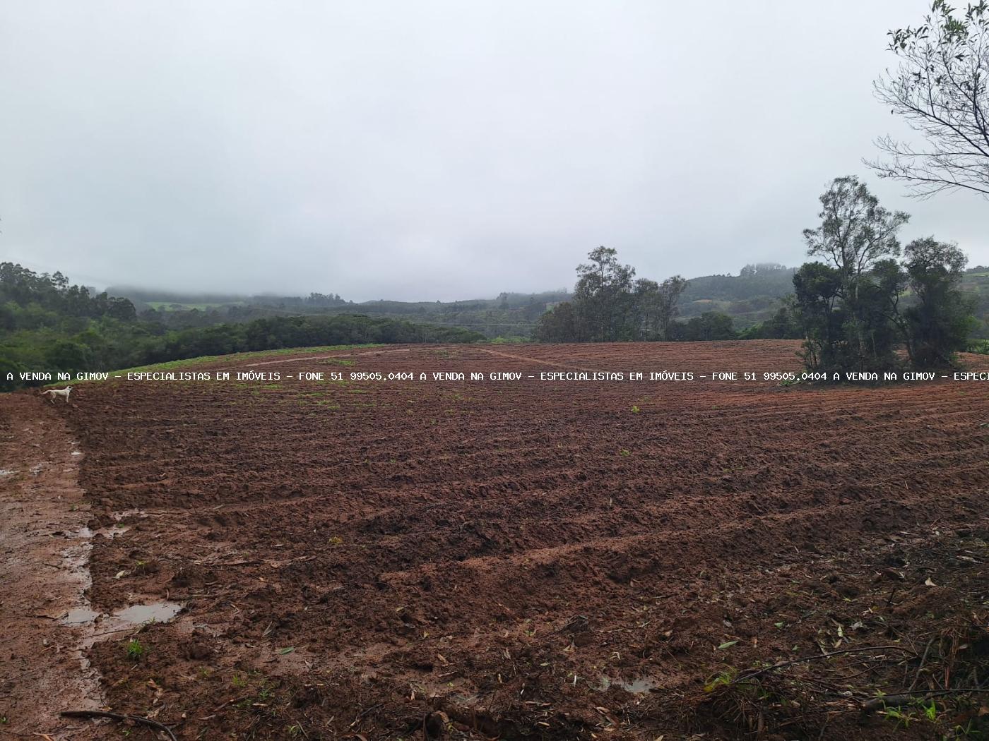 Fazenda à venda com 2 quartos, 141000m² - Foto 37