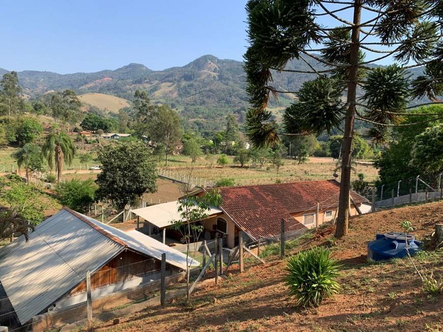 Sítio à venda com 4 quartos, 45m² - Foto 9