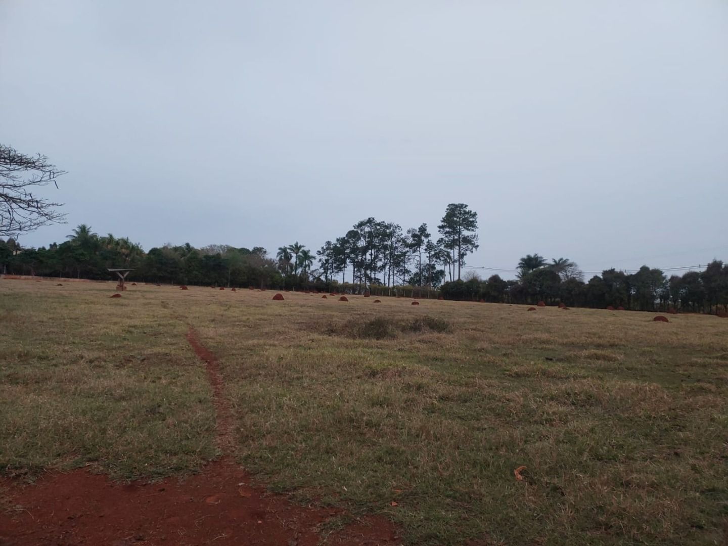 Haras e Área Rural Padrão à venda com 3 quartos, 96800M2 - Foto 17