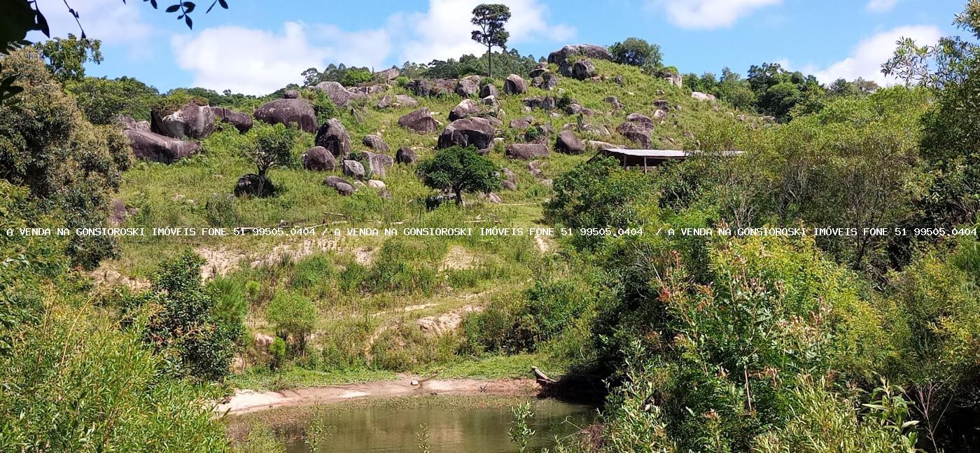 Chácara à venda com 2 quartos, 600000m² - Foto 49