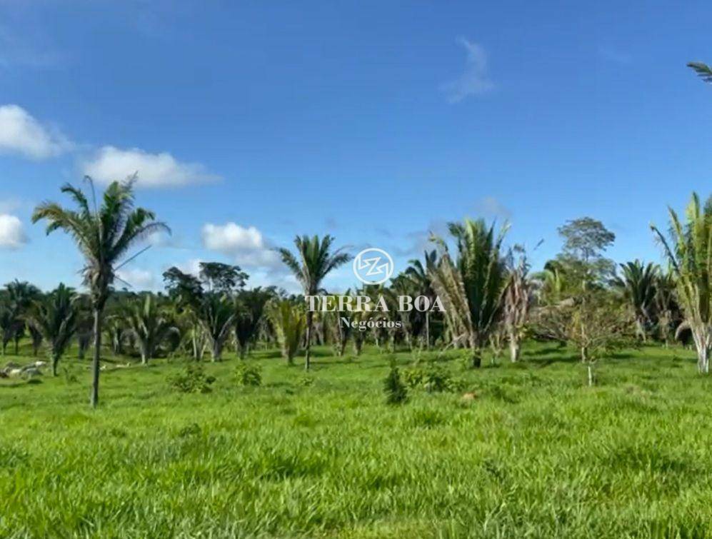 Fazenda à venda, 1452000M2 - Foto 3