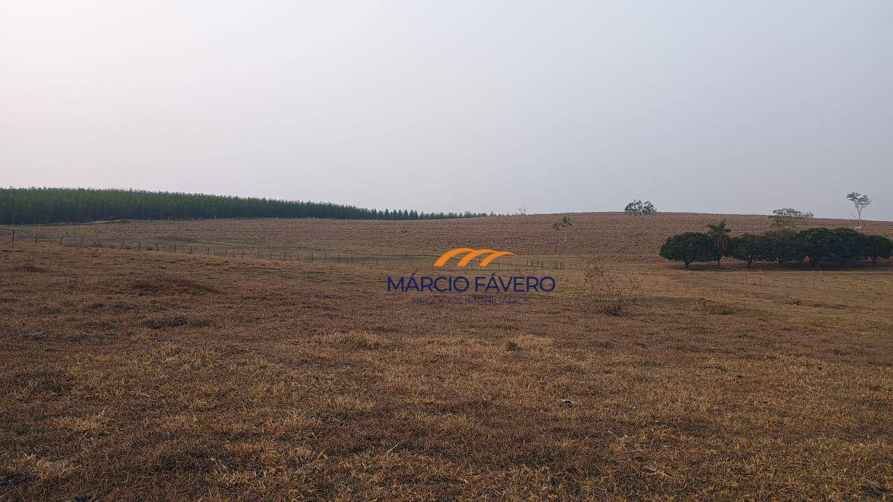 Fazenda, 121 hectares - Foto 10