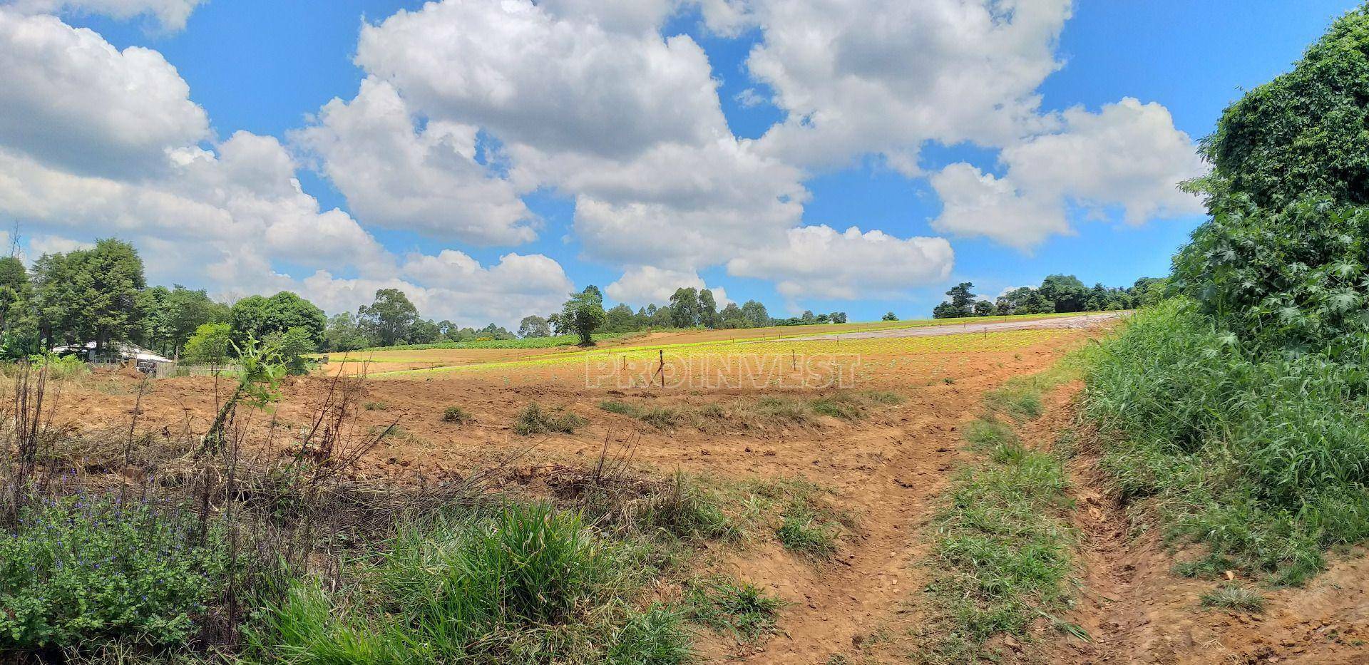 Terreno à venda, 822000M2 - Foto 16