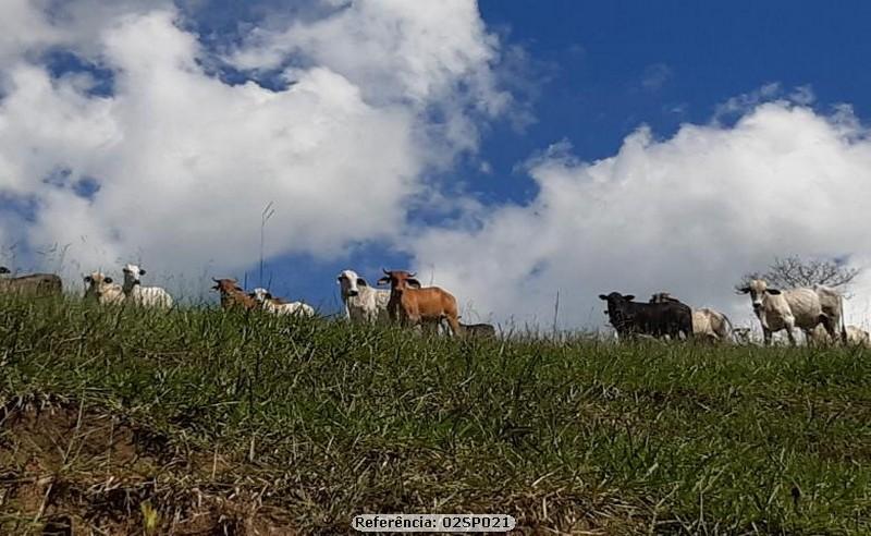 Fazenda à venda com 3 quartos, 200000m² - Foto 2