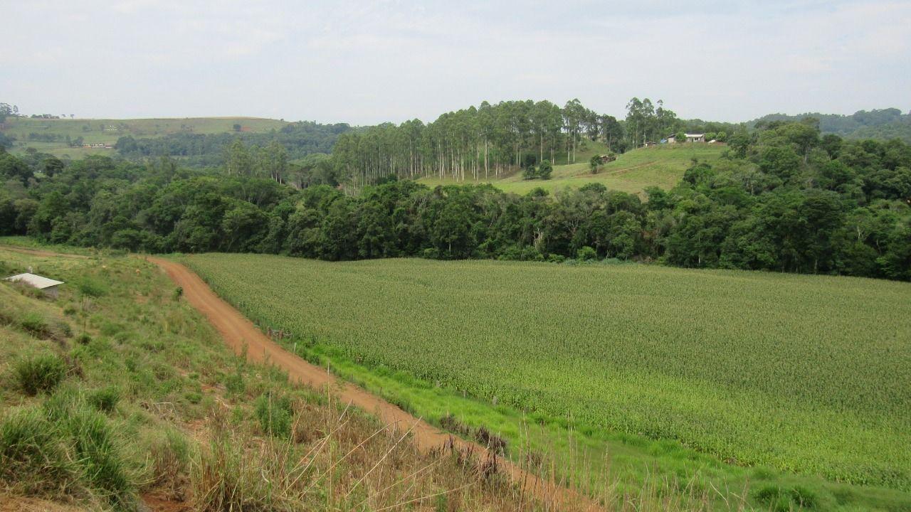 Loteamento e Condomínio à venda, 180000m² - Foto 16