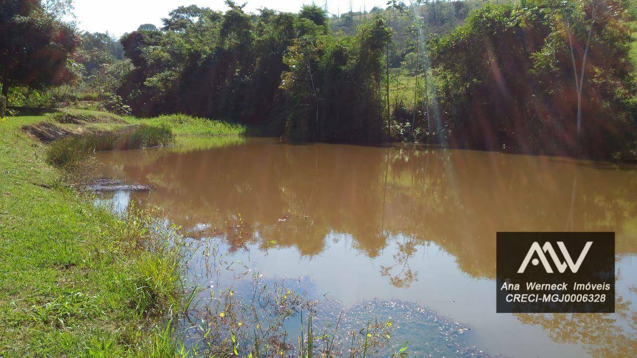 Chácara à venda com 3 quartos, 10000M2 - Foto 23